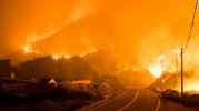220122040533-02-california-wildfire-012122-super-169.jpg