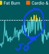 Screenshot_20220123-194802_Fitbit.jpg