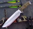 busse-nmsfno.jpg