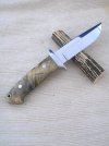 Knife Hunter #204 Chute buckeye CPM154 .211 REVERSEWstag.jpg