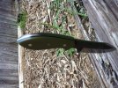mason knives 101.jpg mason knives 101.jpg