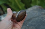 DSC_0712.jpg