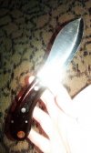 IMAG0650.jpg