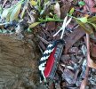 IMG_20220128_100134.jpg
