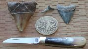 Small Lambfoot Knife Ox Horn 13 .jpg