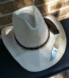 IMG_20220201_113636.jpg