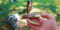 97_peanut_and_dogs.jpg