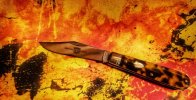 fire.jpg