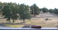 Large Lambfoot Knife Rosewood 8 .jpg