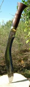 Gelbu Special by Styler 2.jpg