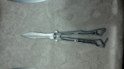 spyderfly2.jpg spyderfly2.jpg