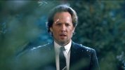 allstate_mayhem_douglas_fir.jpg