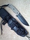 Esee1.jpg