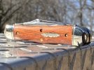 29bloodwood1.JPG