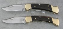 buck 012222 001.JPG