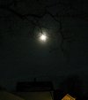 fullmoon.2.26.22.jpg