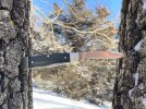 Gunstock8.JPG