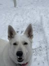 F32798B1-5917-46F7-9EB3-7F0301F0DA25.jpeg