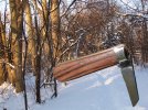 snow.woodsypath.west copy.jpg