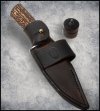 Stag-sheath.jpg Stag-sheath.jpg