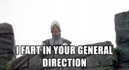 i-fart-in-your-general-direction.jpeg