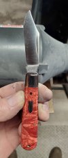 Red Dyed Box Elder Burl.jpg