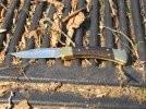 Buck110Brush1.JPG