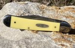 Yellow17.JPG