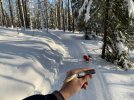 Sunny Day_small-2.JPG