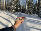 Sunny Day_small-3.JPG