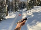 Sunny Day_small-4.JPG