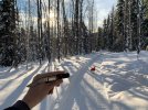 Sunny Day_small-6.JPG