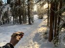 Sunny Day_small-7.JPG