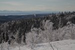Ester Dome_small-5.JPG