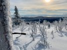 Ester Dome_small-6.JPG