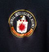 cia 2.jpg