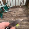 819E6AB5-F484-491E-878C-D467ED33D2EC.jpeg