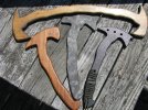winkler hawk PINE 008.jpg