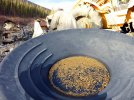 Gold_small-4.JPG