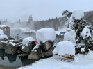 Chena Hot Springs_small-3.JPG