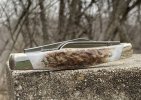Buck301BFKnife-6.JPG