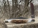 Buck301BFKnife-7.JPG
