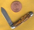Mammoth Indian River Jack 4.jpg