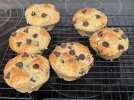 Muffins.jpg