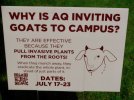goatsign2.jpg