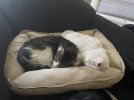 IMG_20220308_122023_064.jpg