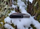lionsteel 2.jpg