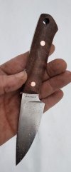 1646869118654.jpg
