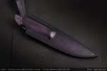 AI-Violet-Violet-06.jpg