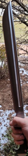 20220310_134230.jpg 20220310_134230.jpg